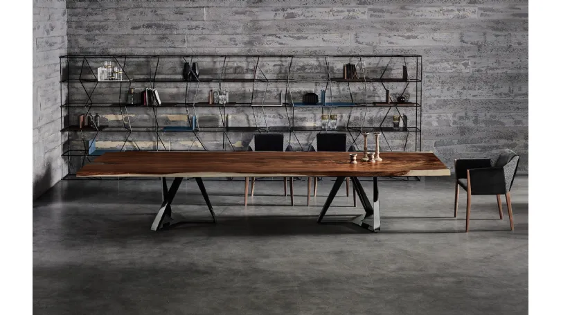 Libreria Lexington di Bontempi