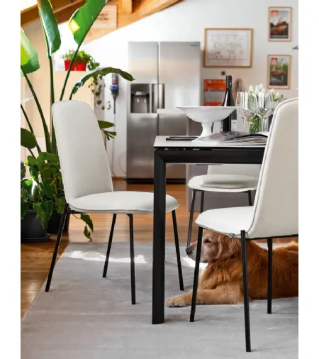 Sedia in tessuto imbottito con gambe in metallo Riley di Connubia